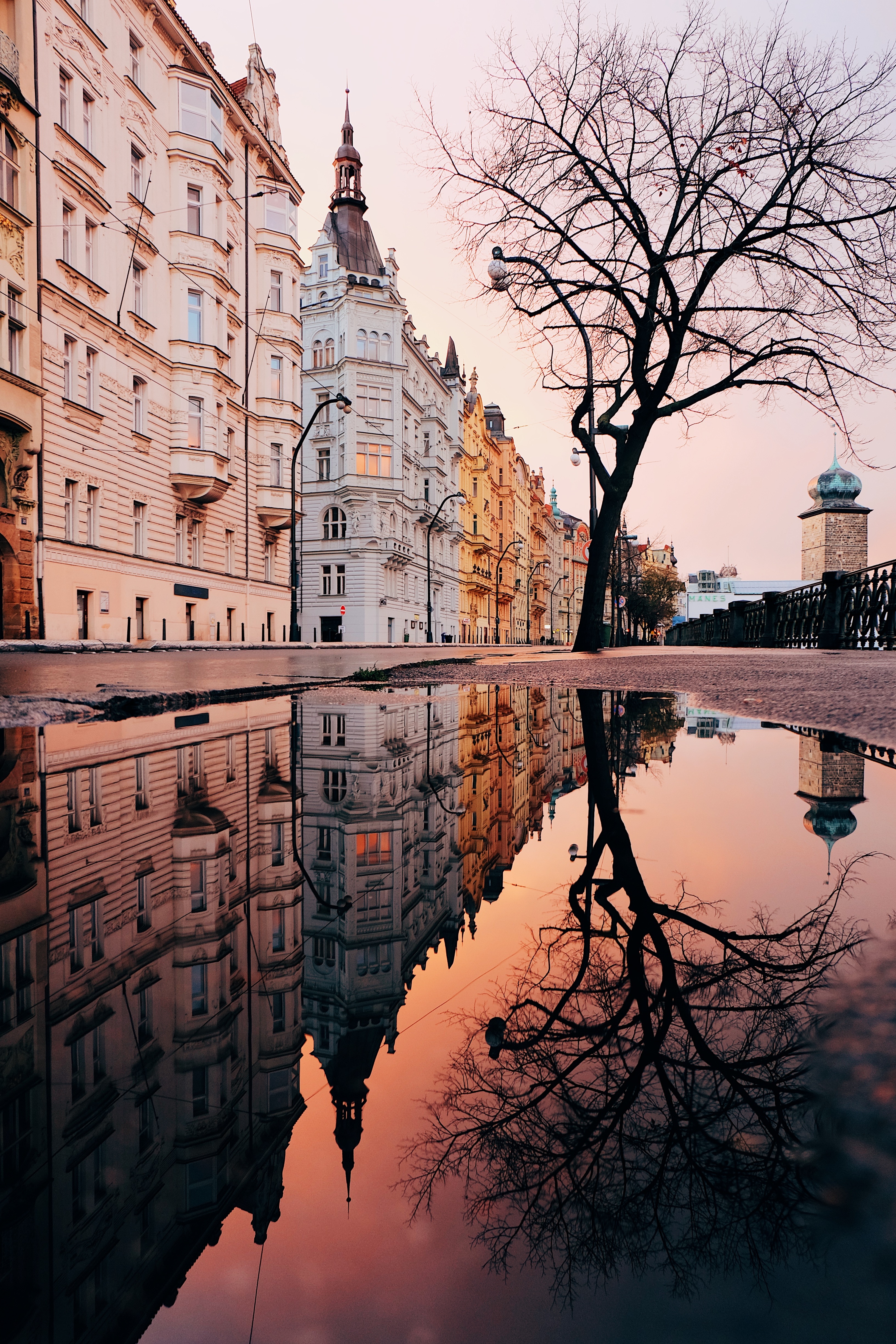 Tall, old buildings and a tree reflected in a puddle in the street.